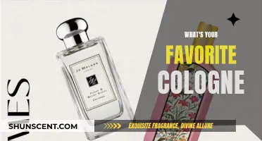 The Best Cologne: My Favorite Fragrances and Why