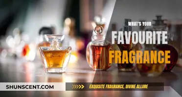 Exploring Personal Fragrances: A Scent of Self