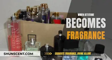 Attitude's Fragrance: A Powerful Scent of Self