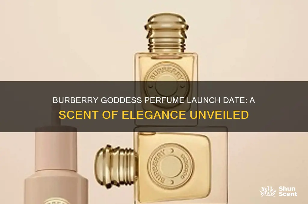 when did burberry goddess perfume come out