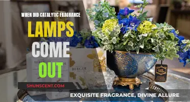 The Evolution of Catalytic Fragrance Lamps: A Historical Perspective