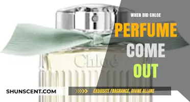 Chloe Perfume Launch: A Journey Through Its Debut and Impact