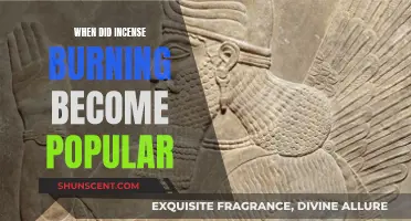 Incense Burning: Ancient Practice, Modern Popularity
