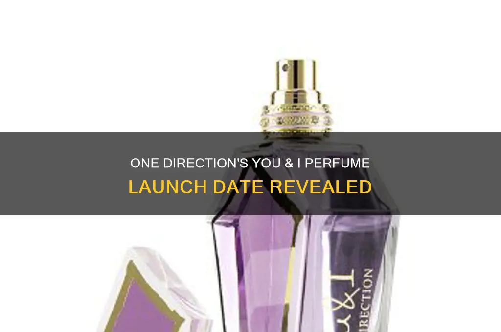 when did one direction you and i perfume come out