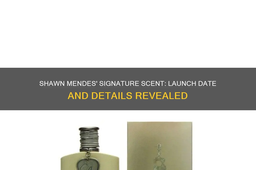 when did shawn mendes perfume come out