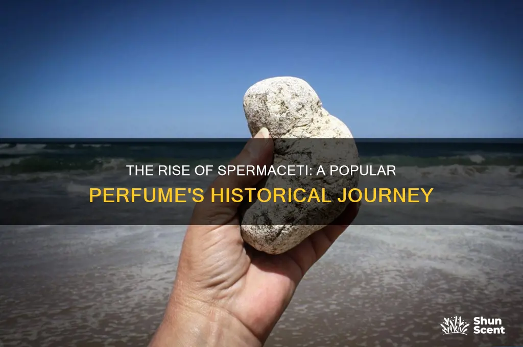 when did spermaciti become a popular perfume