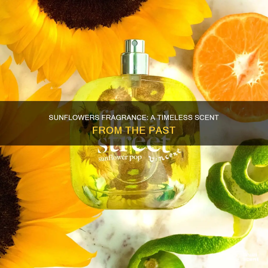 when did the fragrance sunflowers come out