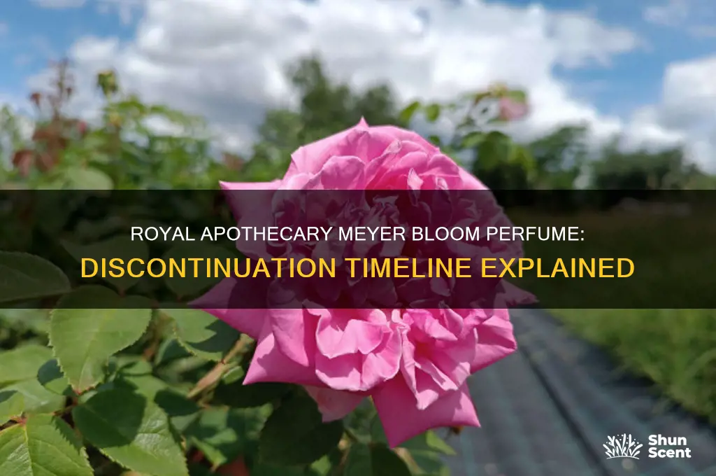 when did they discontinue royal apothecary meyer bloom perfume