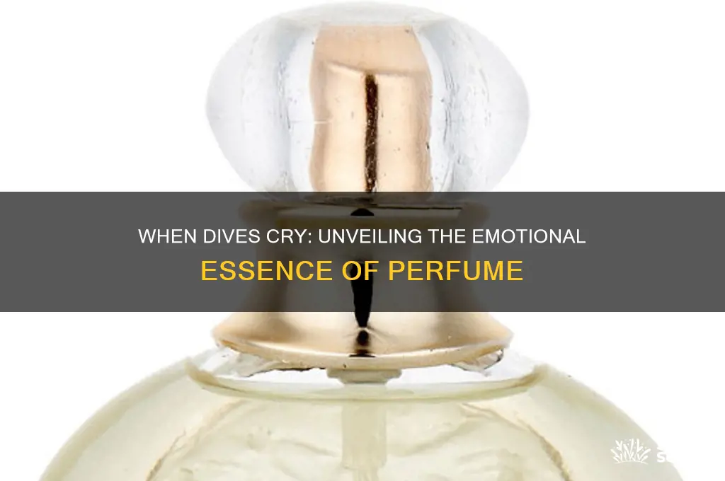 when dives cry perfume