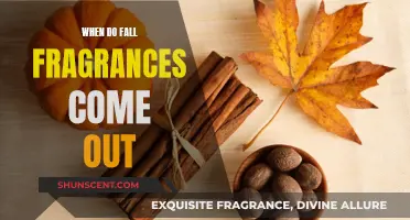 Fall Fragrances: When to Expect New Seasonal Scents