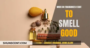 The Sweet Spot: Fragrance's Optimal Smelling Time
