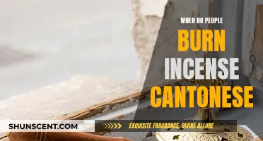Incense Burning: A Cantonese Tradition Explained