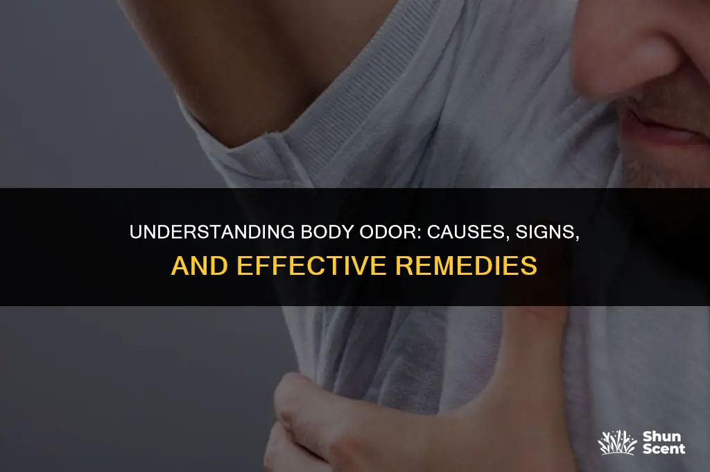 when do you get body odor
