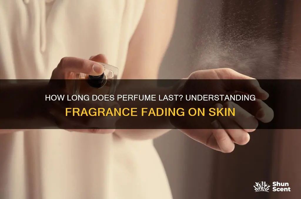 when does perfume start to fade on the akin