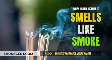 Incense Smoking: Why Does It Happen and How to Fix It?