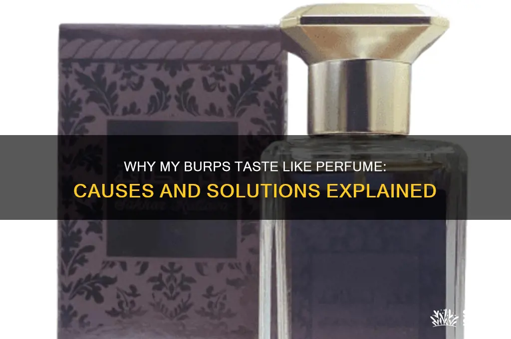 when i burp it taste like perfume