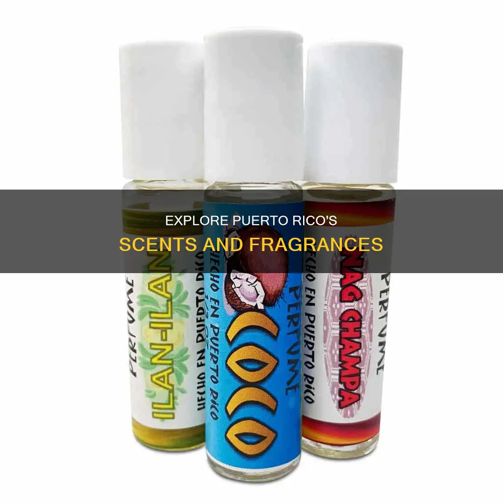 when in puerto rico perfume