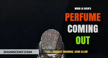 Cher's New Perfume Launch Date: What We Know So Far