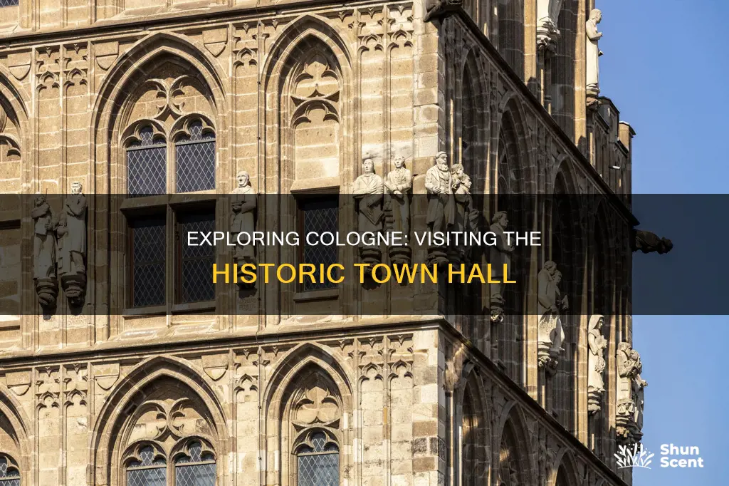 when is historic town hall cologne open