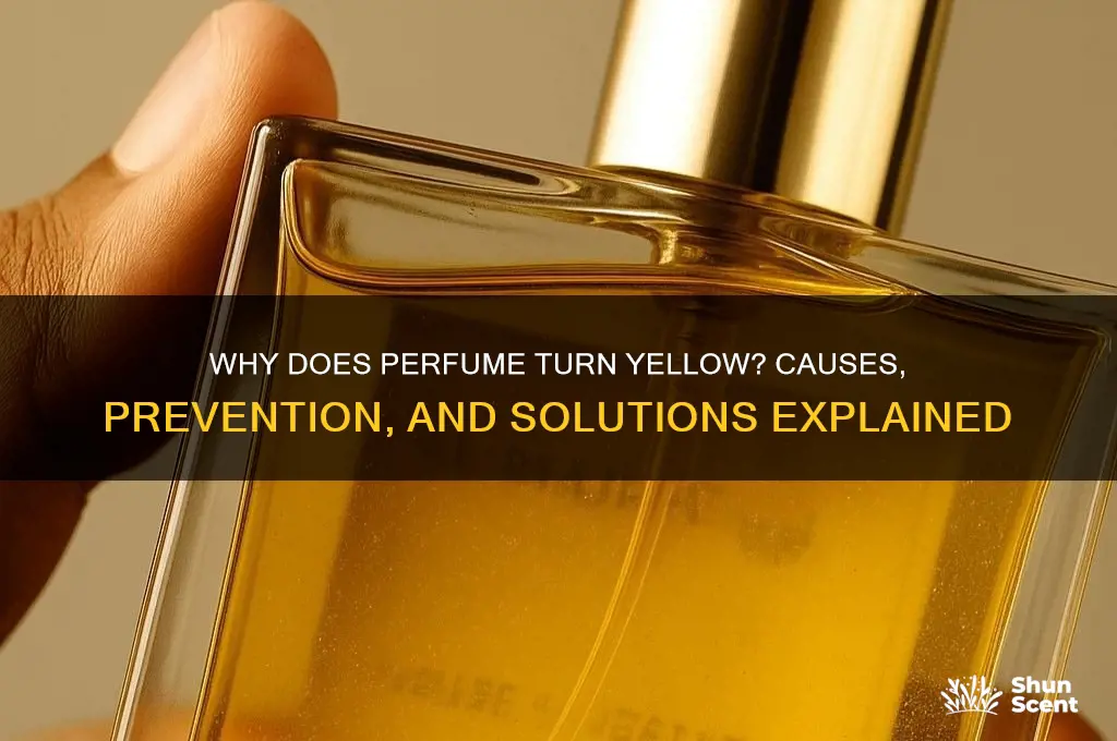 when perfume goes yellow