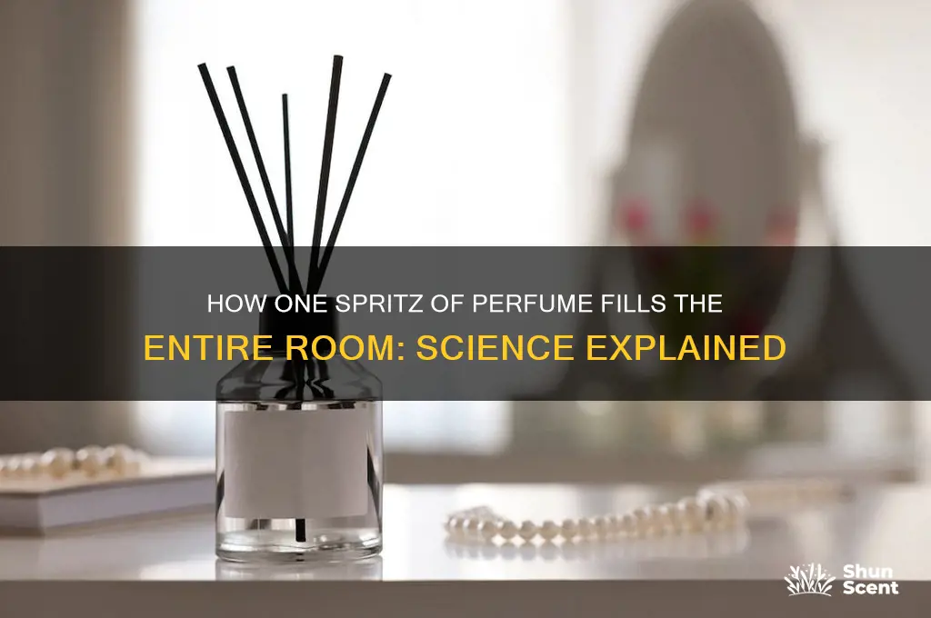 when person applies perfume in one corner of the room