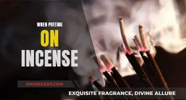 Incense: Enhancing Your Space with Aromatic Scents