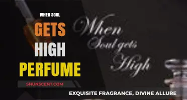 Elevate Your Senses: When Soul Meets High Perfume Bliss