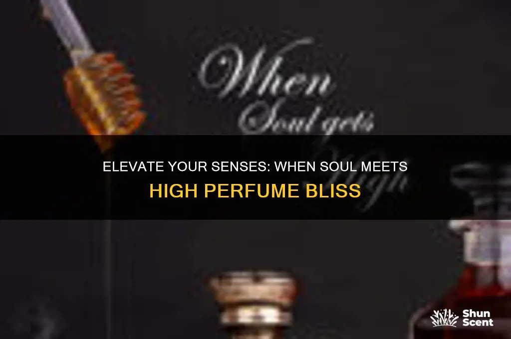 when soul gets high perfume