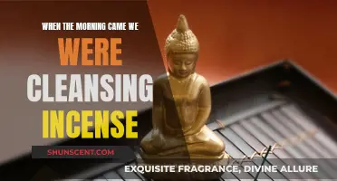 Morning Cleansing Rituals: Incense for a Fresh Start