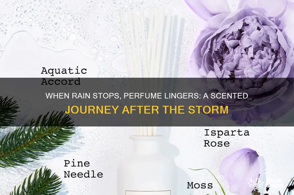 when the rain stop perfume