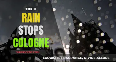 The Rainy Scent of Cologne: A Fresh Perspective