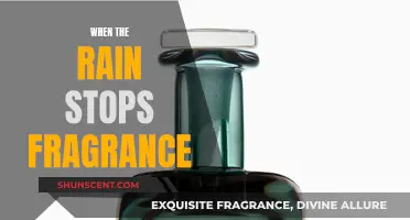 The Calm After the Storm: A Soothing Scent