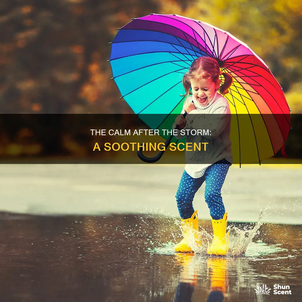 when the rain stops fragrance
