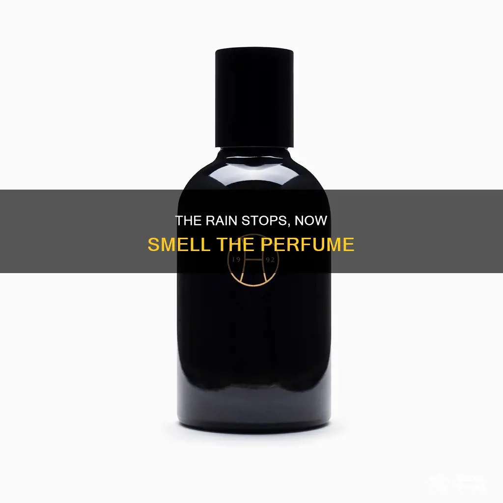 when the rain stops perfume