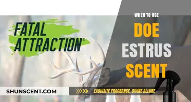 Maximize Deer Hunting Success: Timing Doe Estrus Scent Application