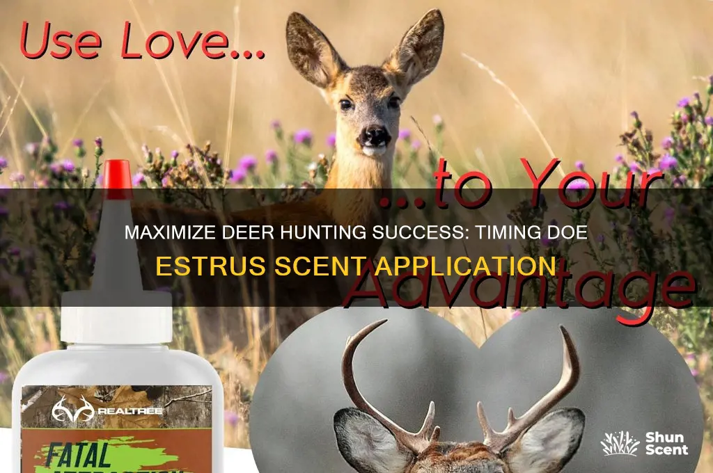 when to use doe estrus scent