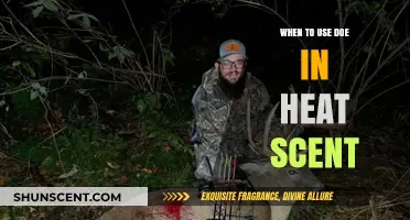 Using Doe in Heat Scent: Timing Tips for Hunting Success