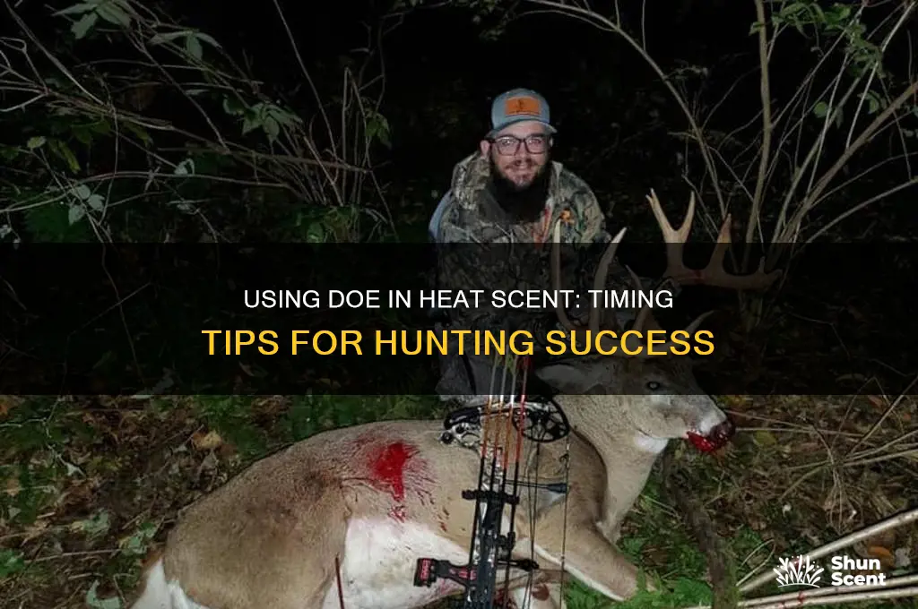 when to use doe in heat scent