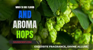 Flavor and Aroma Hops: The Perfect Timing for Brewing