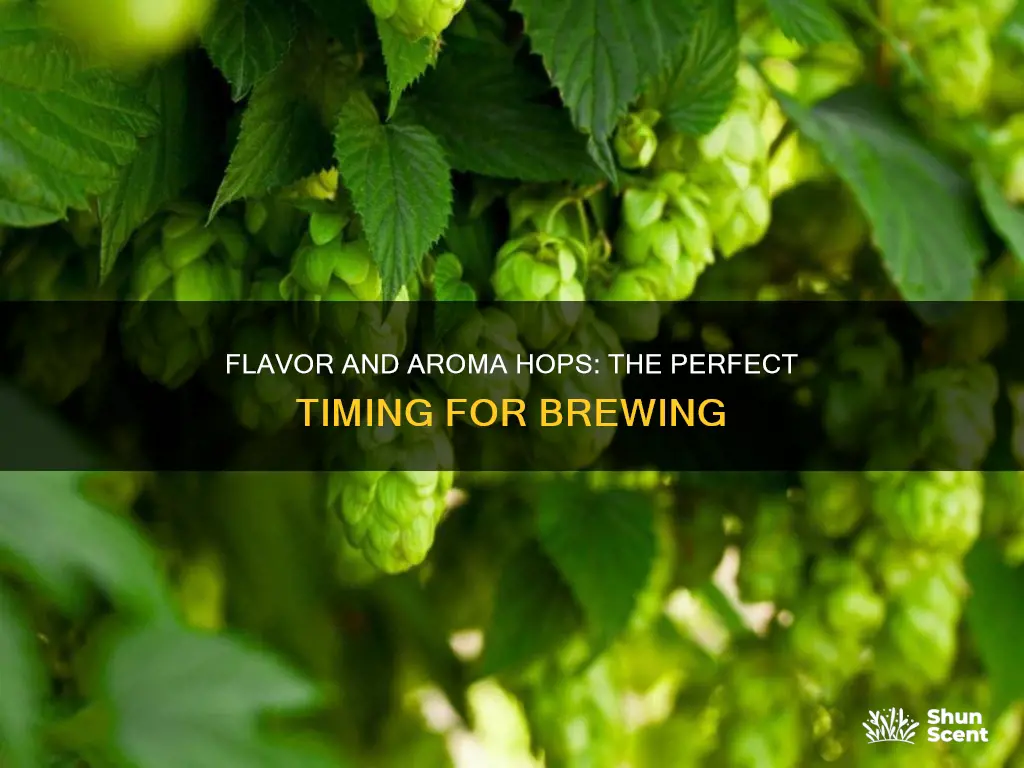 when to use flavor and aroma hops