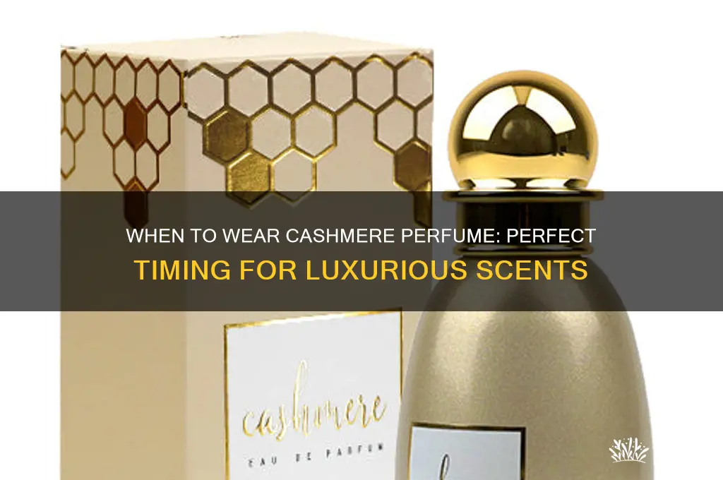 when to wear cashmere perfume