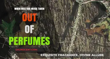 Oak Moss Ban: When Perfumes Lost Their Iconic Ingredient