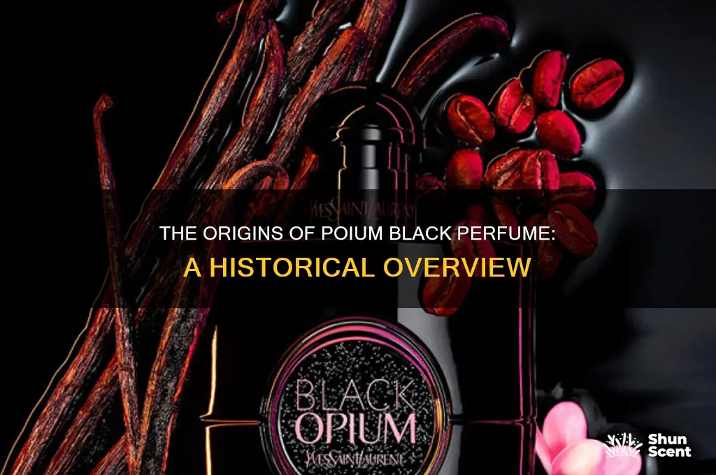 when was poium black perfume made