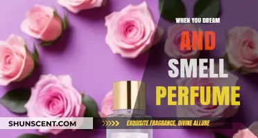 Dream Scents: The Mystery of Perfumes