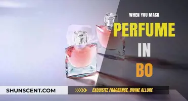 Masking Perfume in Bo: Creative Scent Hacks for Everyday Use