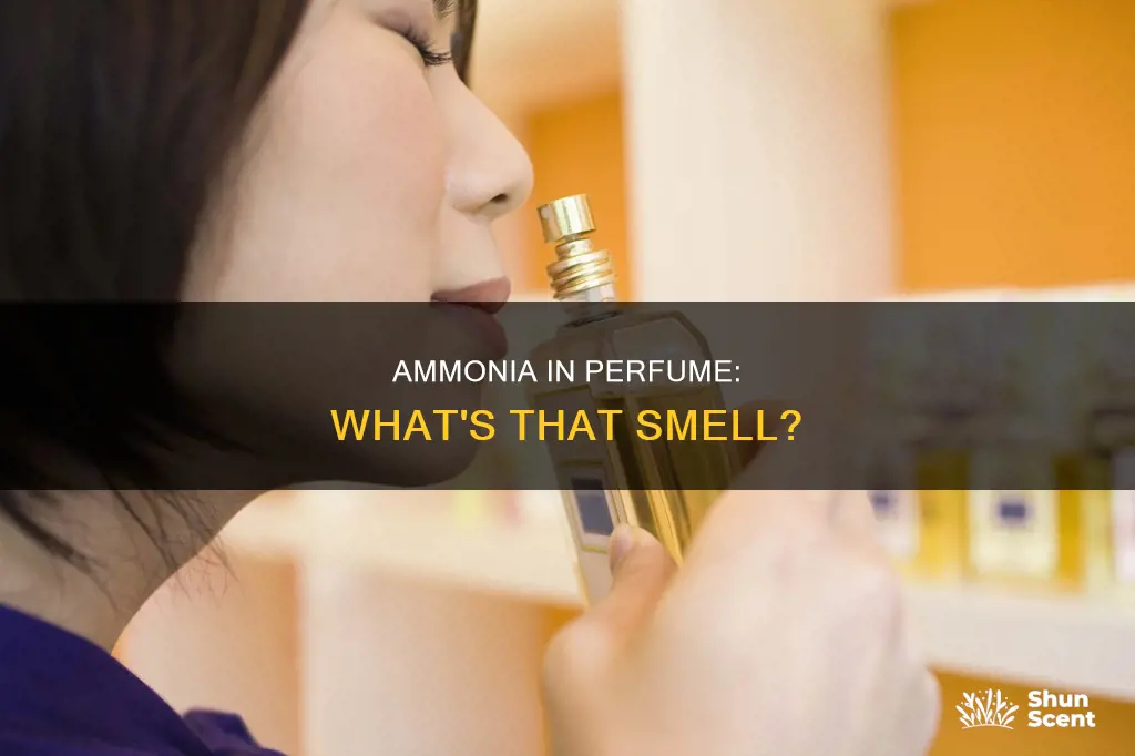 when you smell ammonia in your perfume