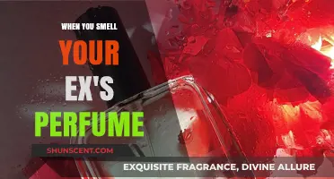 The Scent of Memories: Ex's Perfume