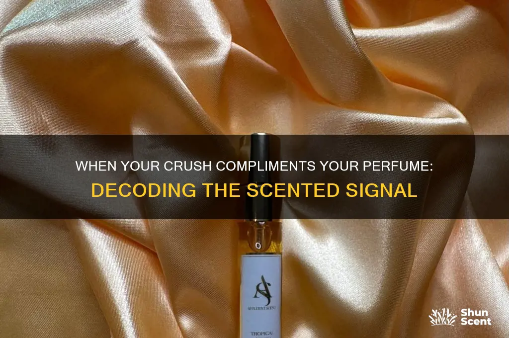 when your crush likes your perfume