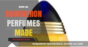 Discovering the Origins: Where Are Boucheron Perfumes Crafted?