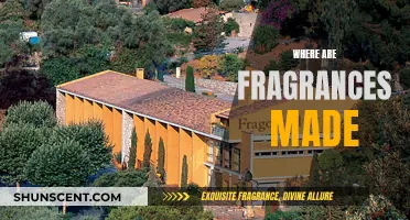 The Art of Fragrance: A Journey to its Origins